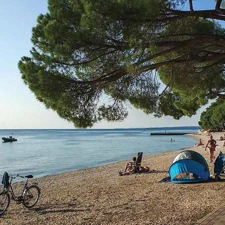 Beautiful In With Wifi Holiday home